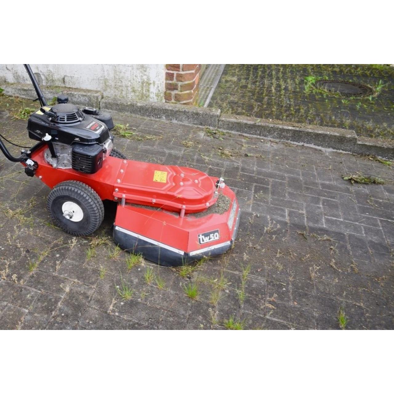 100012636 Wildkrautbürste tw50s (B&S Motor)